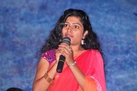 Maa Palle Repallantaa Movie Audio Launch